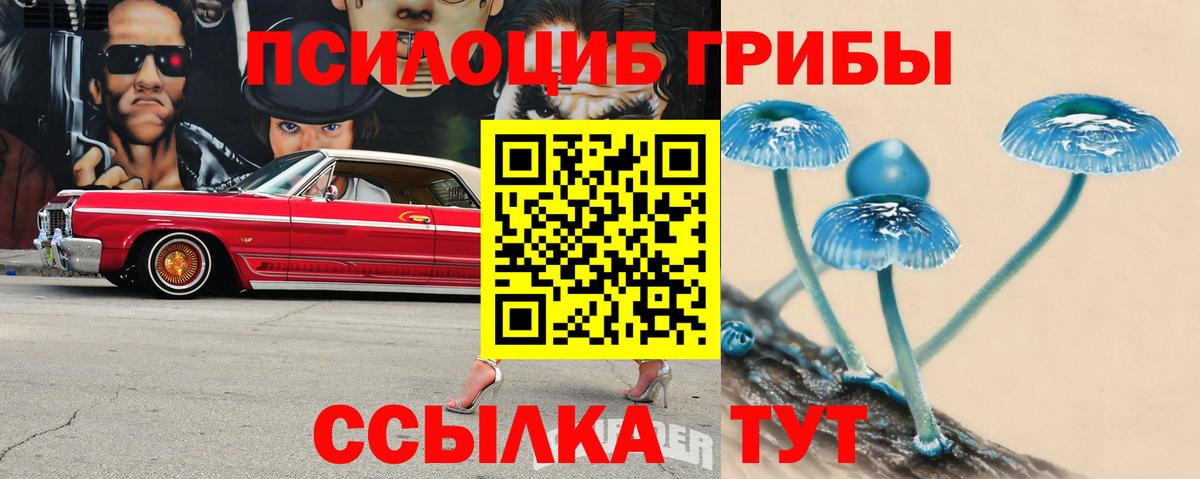 Галлюциногенные грибы Cubensis Ржев